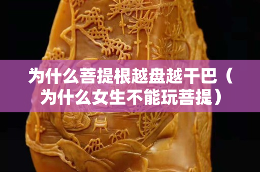 为什么菩提根越盘越干巴（为什么女生不能玩菩提）