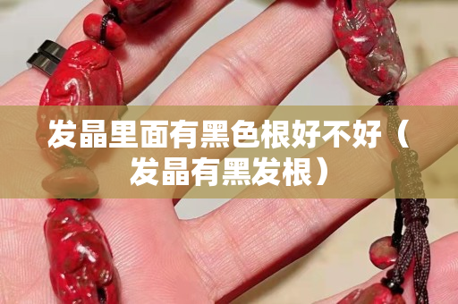 发晶里面有黑色根好不好（发晶有黑发根）