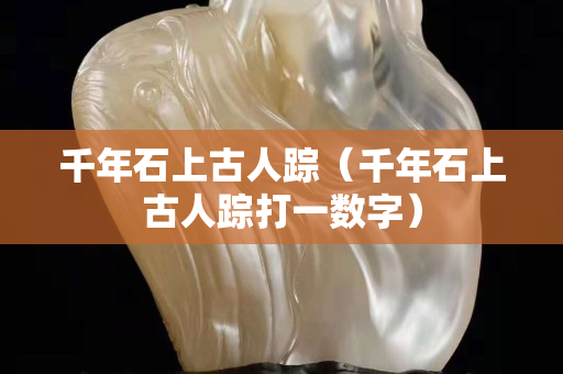 千年石上古人踪（千年石上古人踪打一数字）