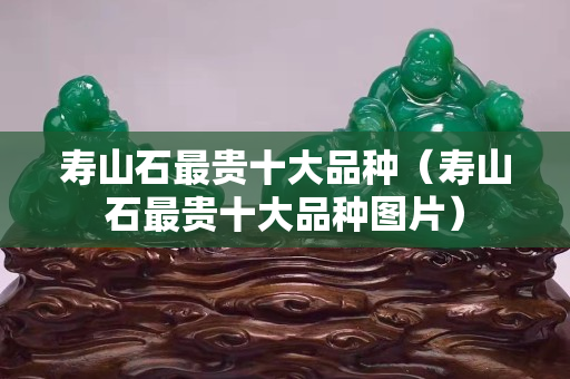寿山石最贵十大品种（寿山石最贵十大品种图片）