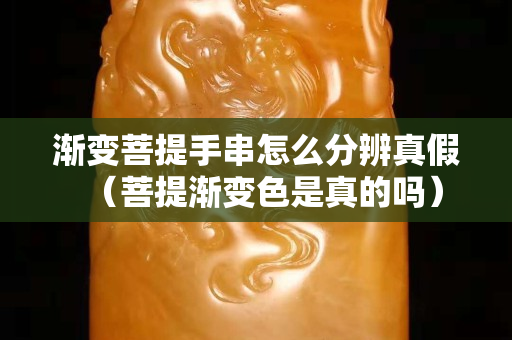 渐变菩提手串怎么分辨真假（菩提渐变色是真的吗）