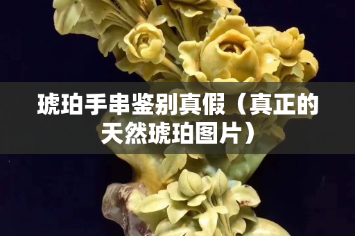 琥珀手串鉴别真假（真正的天然琥珀图片）