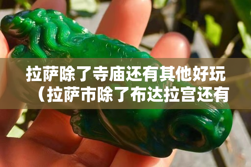 拉萨除了寺庙还有其他好玩（拉萨市除了布达拉宫还有什么地方好玩）