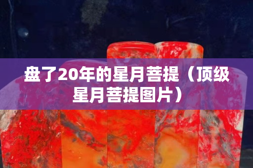 盘了20年的星月菩提（顶级星月菩提图片）