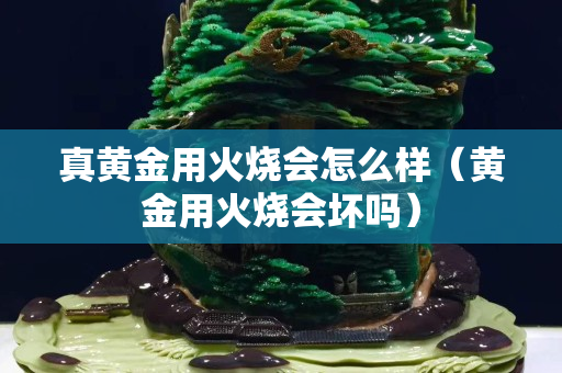 真黄金用火烧会怎么样（黄金用火烧会坏吗）