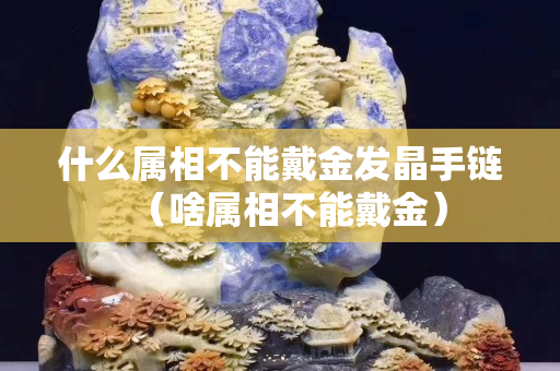 什么属相不能戴金发晶手链（啥属相不能戴金）