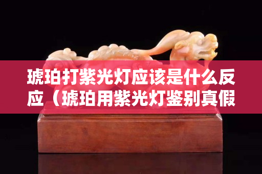 琥珀打紫光灯应该是什么反应（琥珀用紫光灯鉴别真假图片）