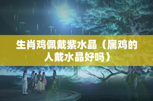 生肖鸡佩戴紫水晶（属鸡的人戴水晶好吗）