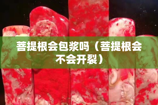 菩提根会包浆吗（菩提根会不会开裂）