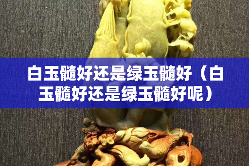 白玉髓好还是绿玉髓好（白玉髓好还是绿玉髓好呢）