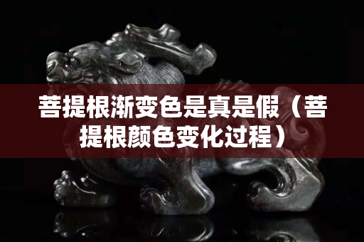 菩提根渐变色是真是假（菩提根颜色变化过程）