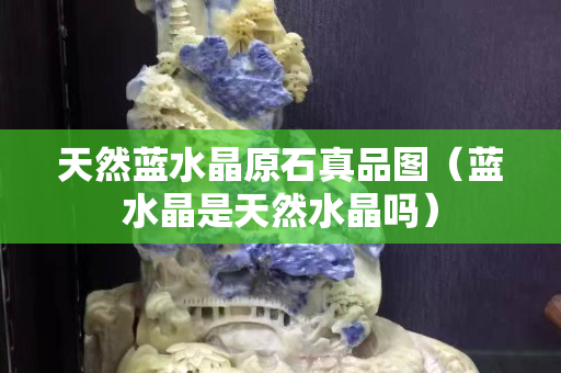 天然蓝水晶原石真品图（蓝水晶是天然水晶吗）