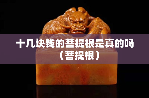 十几块钱的菩提根是真的吗（菩提根）
