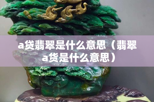 a贷翡翠是什么意思（翡翠 a货是什么意思）