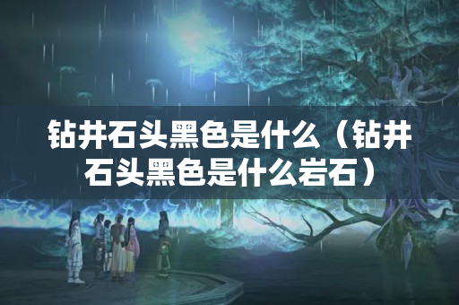 钻井石头黑色是什么（钻井石头黑色是什么岩石）