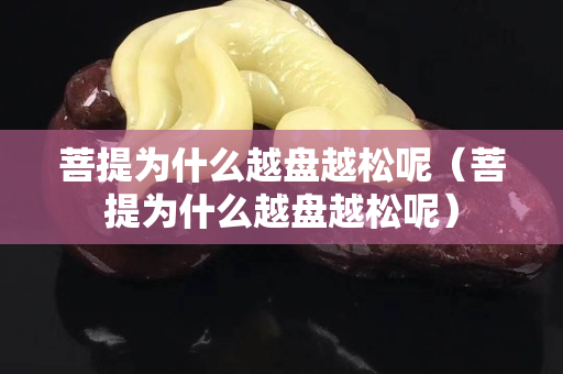 菩提为什么越盘越松呢（菩提为什么越盘越松呢）