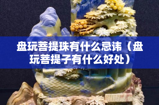盘玩菩提珠有什么忌讳（盘玩菩提子有什么好处）