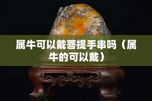 属牛可以戴菩提手串吗（属牛的可以戴）