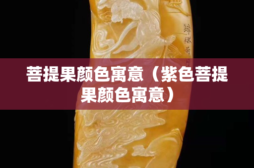 菩提果颜色寓意（紫色菩提果颜色寓意）