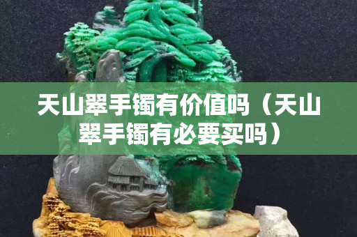天山翠手镯有价值吗（天山翠手镯有必要买吗）