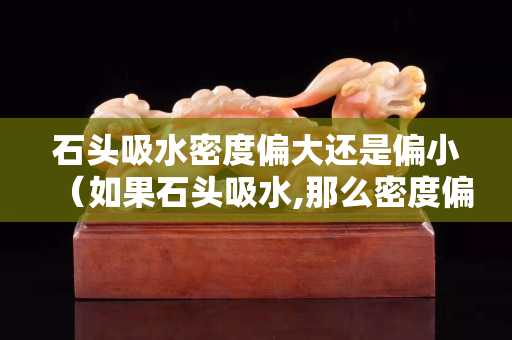 石头吸水密度偏大还是偏小（如果石头吸水,那么密度偏什么）