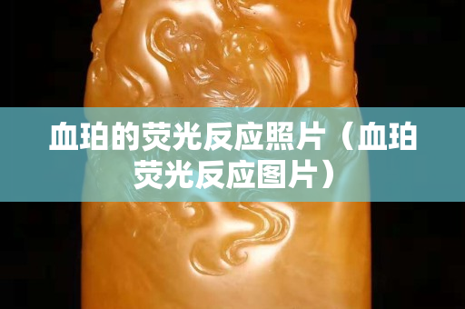 血珀的荧光反应照片（血珀荧光反应图片）