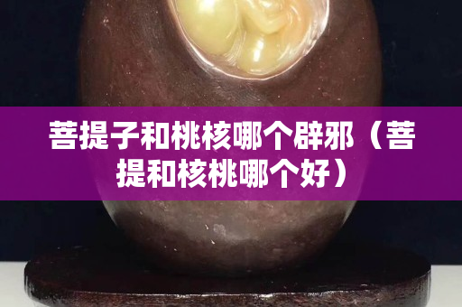 菩提子和桃核哪个辟邪（菩提和核桃哪个好）