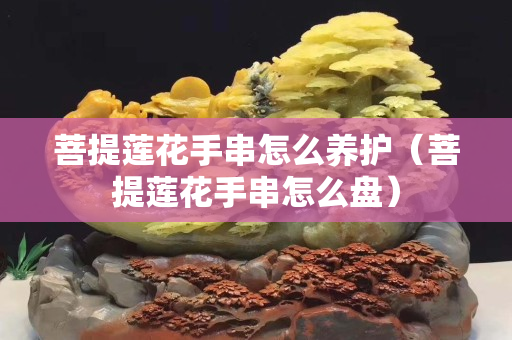 菩提莲花手串怎么养护（菩提莲花手串怎么盘）