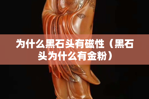 为什么黑石头有磁性（黑石头为什么有金粉）