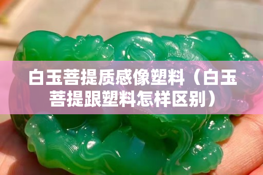 白玉菩提质感像塑料（白玉菩提跟塑料怎样区别）