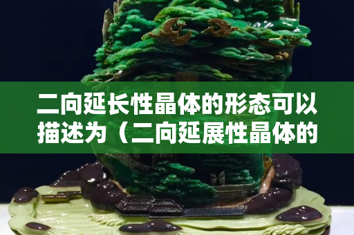 二向延长性晶体的形态可以描述为（二向延展性晶体的形态可以描述为）