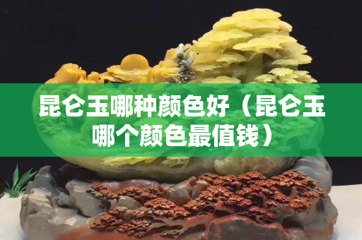 昆仑玉哪种颜色好（昆仑玉哪个颜色最值钱）