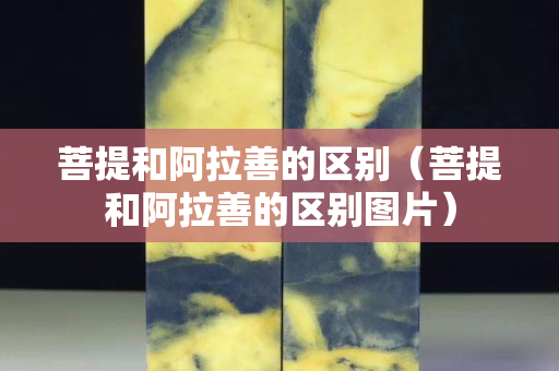 菩提和阿拉善的区别（菩提和阿拉善的区别图片）