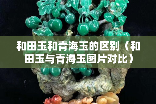和田玉和青海玉的区别（和田玉与青海玉图片对比）