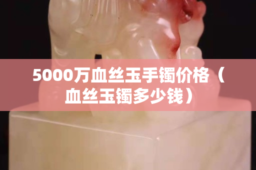 5000万血丝玉手镯价格（血丝玉镯多少钱）