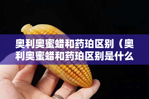 奥利奥蜜蜡和药珀区别（奥利奥蜜蜡和药珀区别是什么）