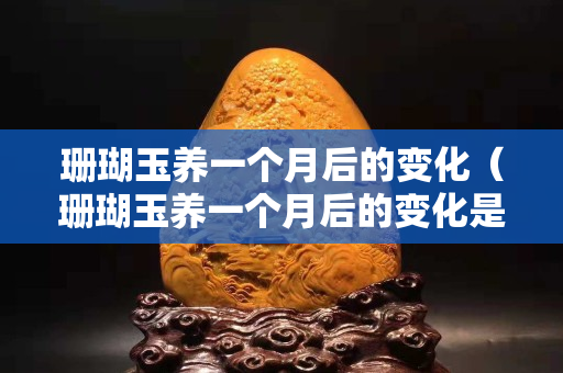 珊瑚玉养一个月后的变化（珊瑚玉养一个月后的变化是什么）