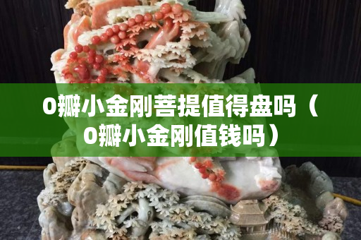 0瓣小金刚菩提值得盘吗（0瓣小金刚值钱吗）