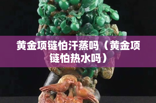 黄金项链怕汗蒸吗（黄金项链怕热水吗）