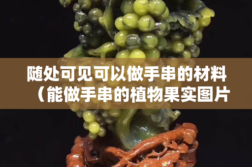 随处可见可以做手串的材料（能做手串的植物果实图片）