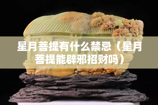 星月菩提有什么禁忌（星月菩提能辟邪招财吗）