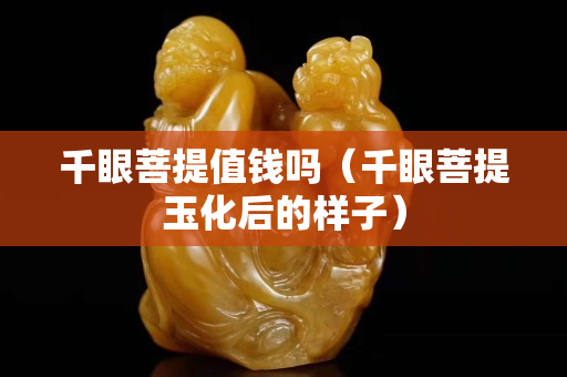 千眼菩提值钱吗（千眼菩提玉化后的样子）