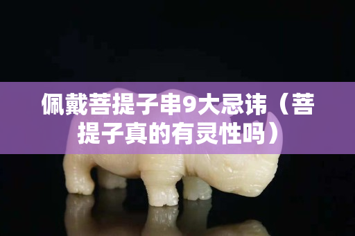 佩戴菩提子串9大忌讳（菩提子真的有灵性吗）
