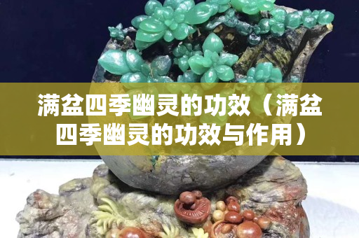 满盆四季幽灵的功效（满盆四季幽灵的功效与作用）