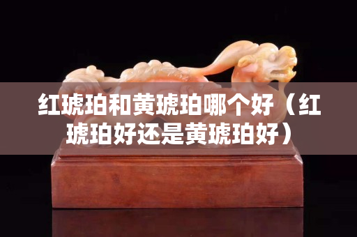 红琥珀和黄琥珀哪个好（红琥珀好还是黄琥珀好）