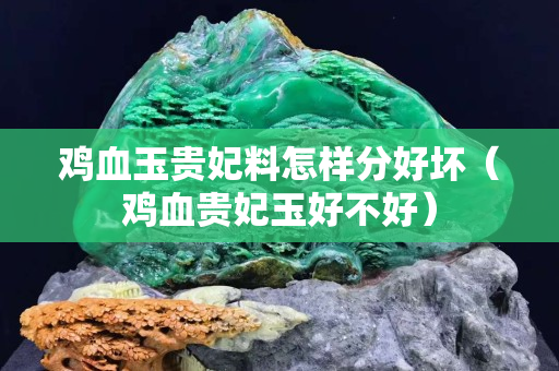 鸡血玉贵妃料怎样分好坏（鸡血贵妃玉好不好）