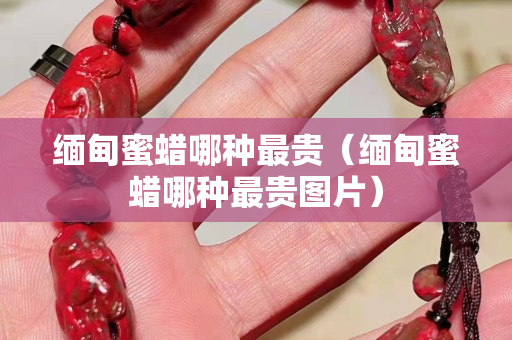 缅甸蜜蜡哪种最贵（缅甸蜜蜡哪种最贵图片）