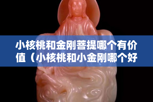 小核桃和金刚菩提哪个有价值（小核桃和小金刚哪个好盘）