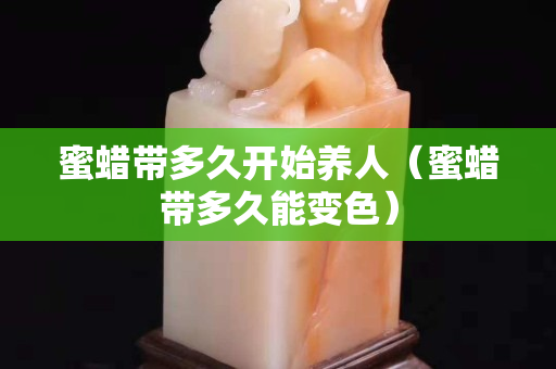 蜜蜡带多久开始养人（蜜蜡带多久能变色）