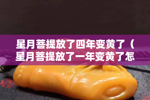 星月菩提放了四年变黄了（星月菩提放了一年变黄了怎么办）